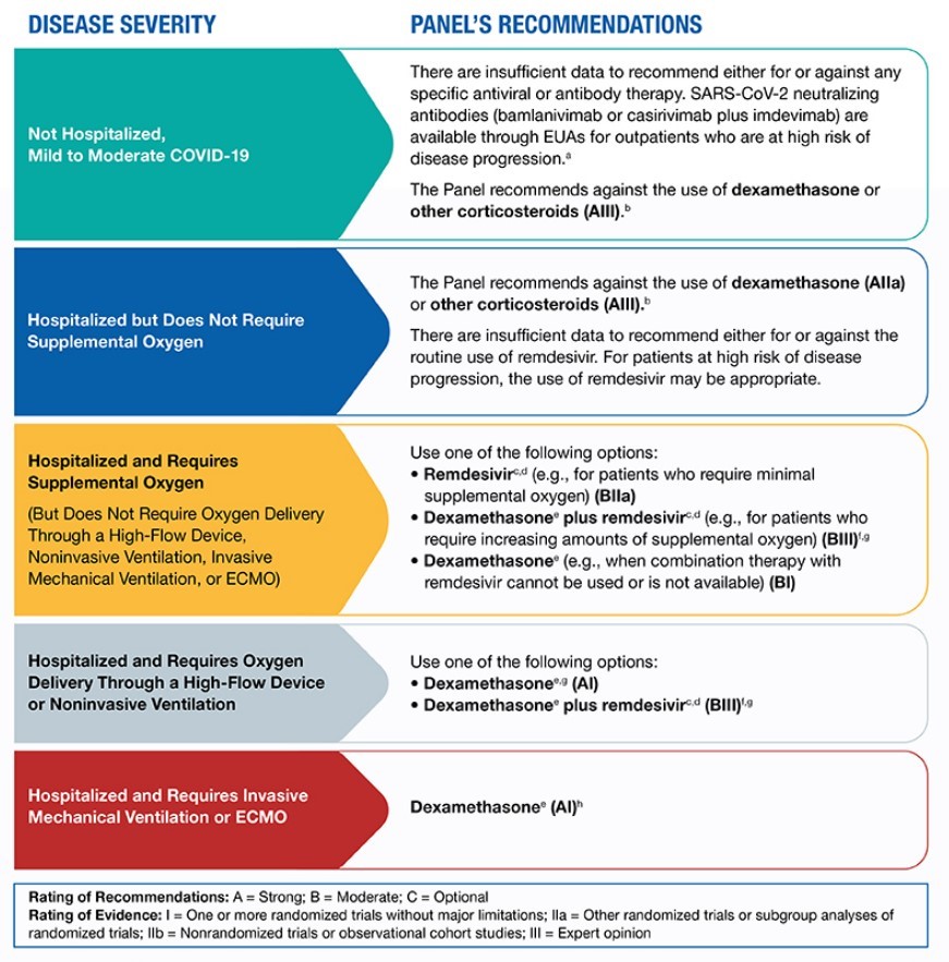 COVID-19 Therapeutics